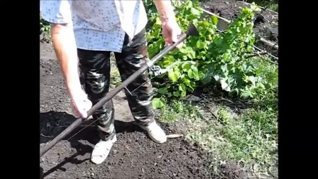 Устройство для посадки семян фасоли , гороха, подсолнуха , лука севка,арбузов и других семян . смотреть онлайн