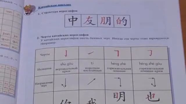 Красноярская молодежь массово осваивает китайский язык смотреть онлайн