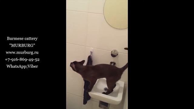 Красотка Афина смотреть онлайн