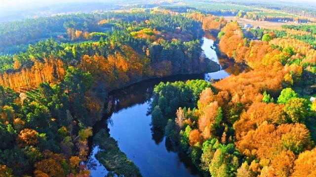 лечебная музыка для сердца и сосудов ? Нежная музыка, успокаивает нервную систему и радует душу смотреть онлайн