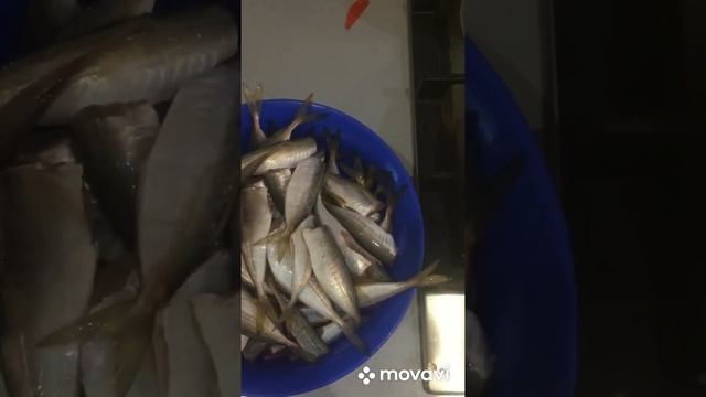 Рыбалка на чёрном море и рецепт приготовления жареной ставриды смотреть онлайн