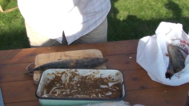Барбекю гриль "Дымка" #КОПТИМ СКУМБРИЮ!#(часть 2) смотреть онлайн