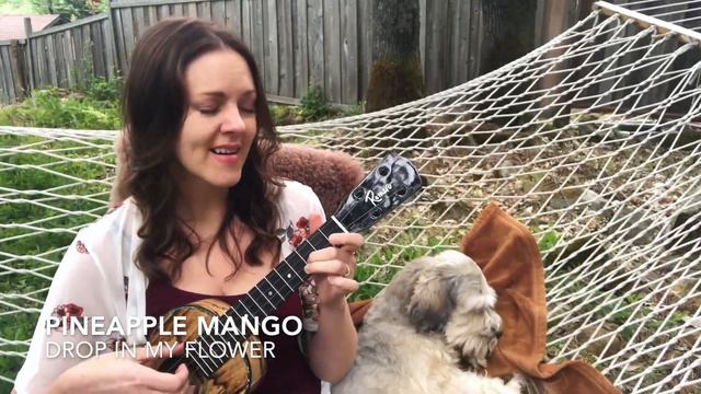 Pineapple Mango fingerstyle ukulele w/ Dani Joy (Daniel Ho song) смотреть онлайн