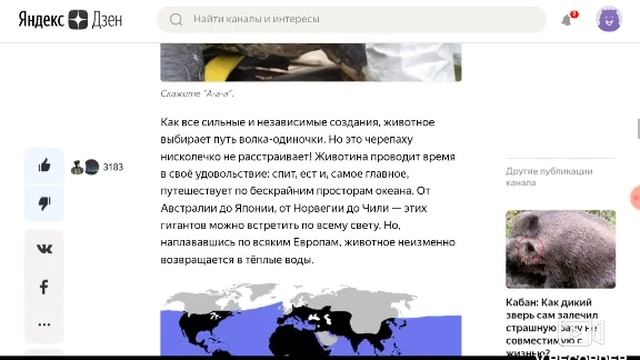 Википедия кожистая черепаха смотреть онлайн