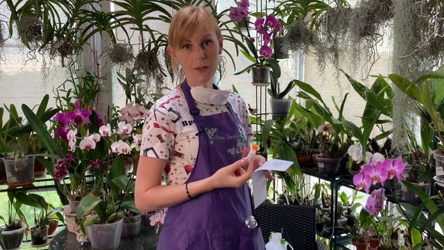 Обработка ОРХИДЕЙ от вредителей смотреть онлайн