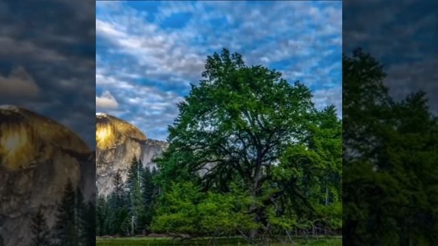 12:12 Sound For Sleep And Relax?