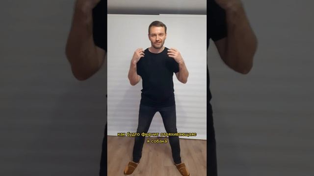 Отряхивающаяся собака смотреть онлайн