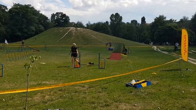 Аджилити - это круто! "Каста", Бровары 2018. смотреть онлайн