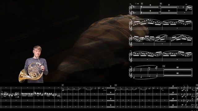 Hedwig's Theme - Harry Potter and the Philosopher's Stone on French Horn смотреть онлайн