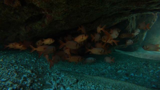 GoPro HERO9 HERO10 HERO11: Underwater Filters by PolarPro | MicBergsma смотреть онлайн