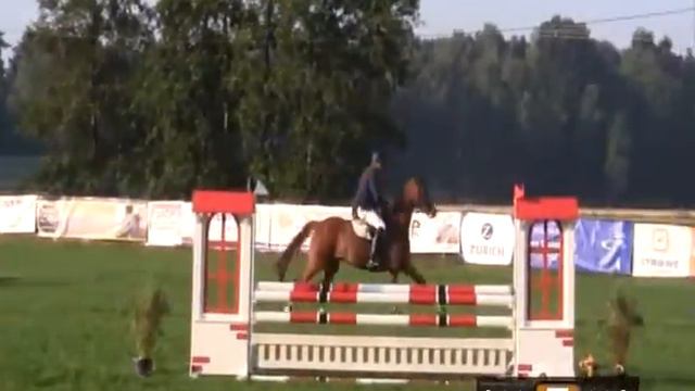 Hilmar Meyer Sporthorses 2013 Cecile Nienburg A смотреть онлайн