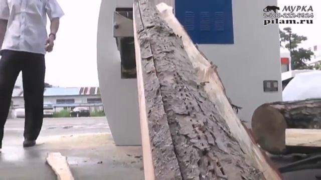 Многопильный станок для роспуска бревна линии переработки тонкомера от pilam.ru смотреть онлайн