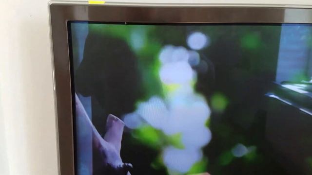 УЦЕНКА! Телевизор Samsung PS51E8005 \ 51 дюйм (0043) смотреть онлайн