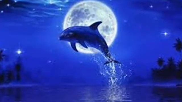 M. Таривердиев. Дельфины смотреть онлайн