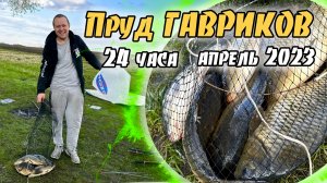 24 часа на пруду ГАВРИКОВ в апреле
Сколько можно поймать за сутки в холодрыгу?