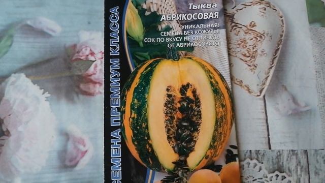 Рассада тыквы абрикосовая смотреть онлайн
