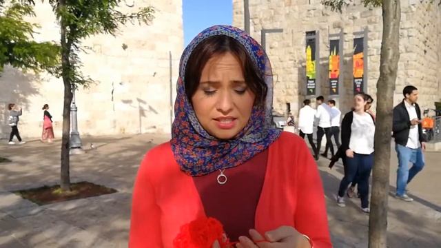 Красная нить. Инструкция по Применению смотреть онлайн