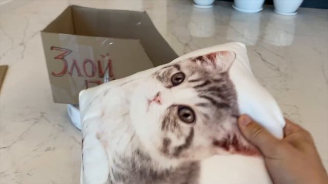 ЗЛОЙ ПЁС СЛОМАЛ ЛАПУ ! ***Не может ходить***