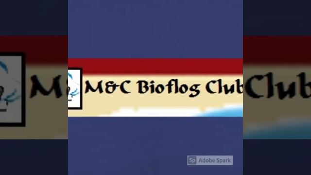 Adobe Spark Video 2 смотреть онлайн