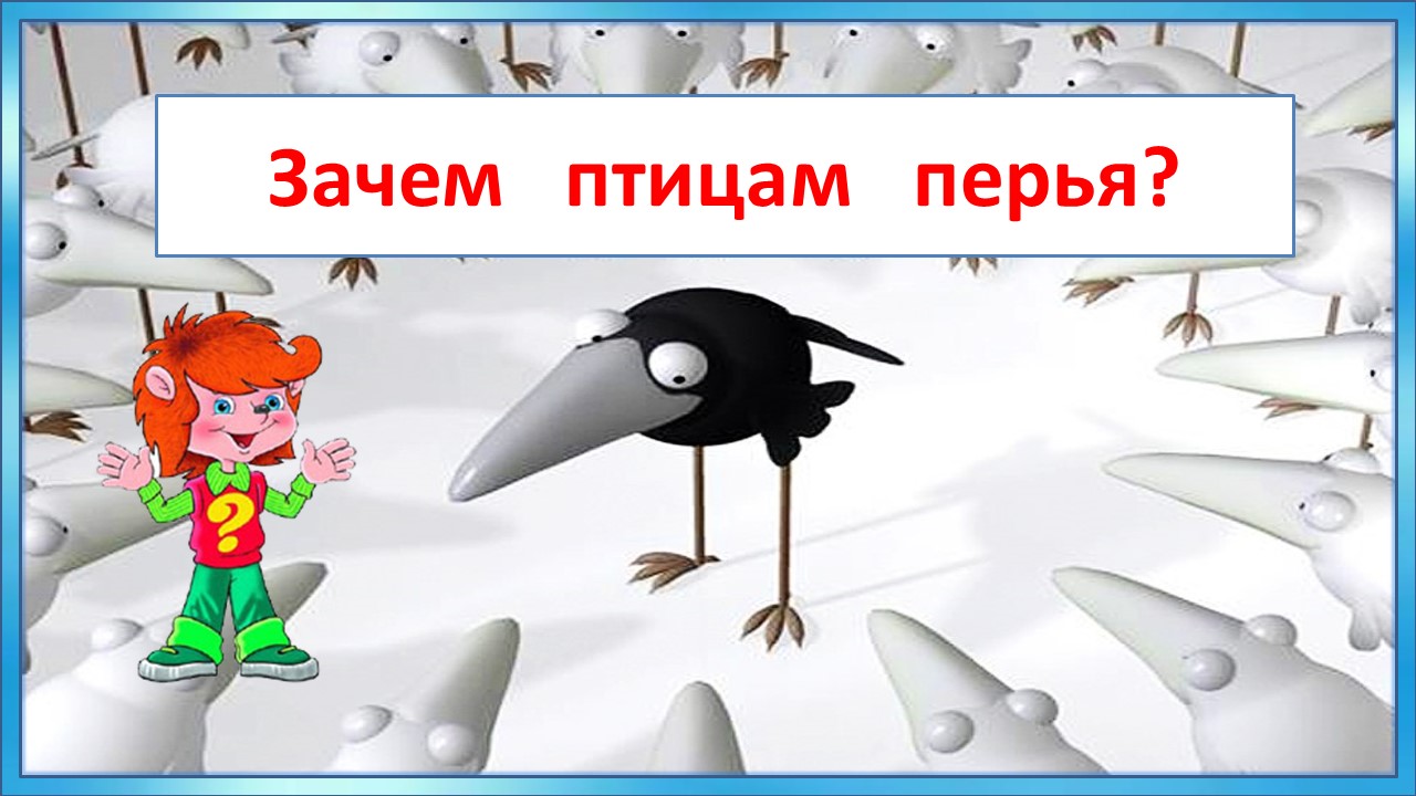 Клуб Почемучек. Зачем птицам перья?