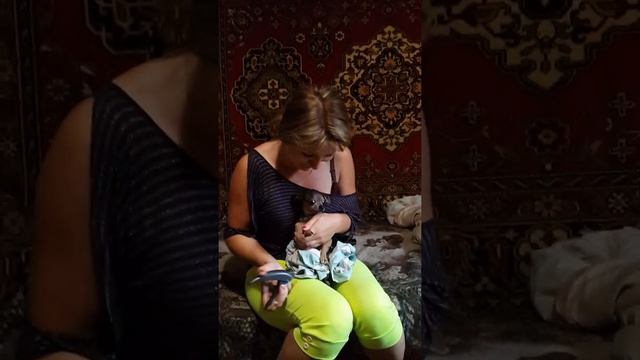 Стрижка ногтей у собаки! Очень смешно. смотреть онлайн