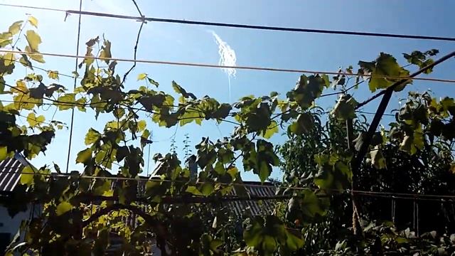 30 июля. Донецкая область. Харцызск. Использование украинской армией зажигательных бомб. смотреть онлайн