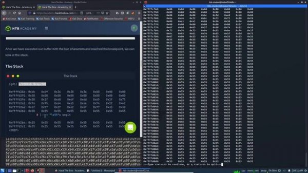HackTheBox Academy - Stack-Based Buffer Overflows on Linux x86 | Final Assessment