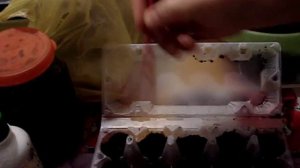 Домашние хлопоты.Сеем перец в лотки из под яиц.