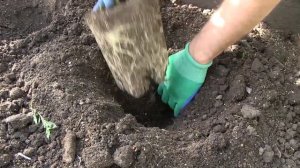 Усадьба: «Фитоаптека с Виталием Декабрёвым»