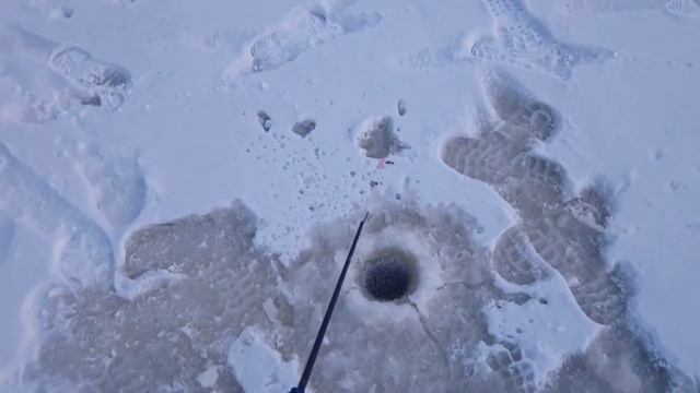 Зимняя рыбалка 🎣 2021 // WINTER FISHING. смотреть онлайн