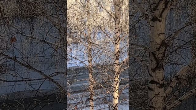 2022-11-26 смотреть онлайн