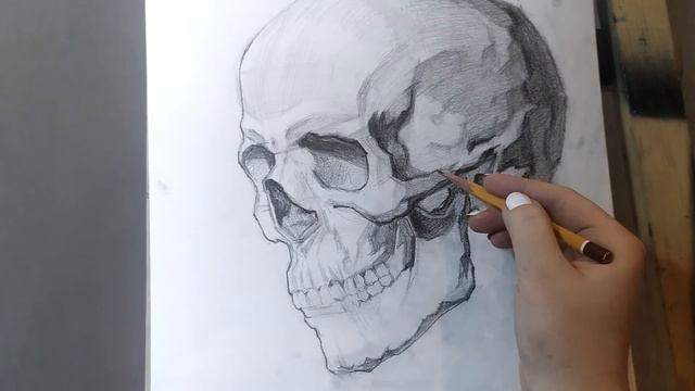 Рисунок черепа карандашом часть 2. Уроки рисования ARTIX SCHOOL