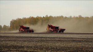 Сельское хозяйство Курганской области