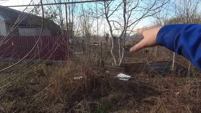 ПЕРЕЕЗД В ДЕРЕВНЮ | ОБЗОР УЧАСТКА | ПОКАЗЫВАЮ ХУТОР #купилдомвдеревне #переездвдеревню #переезднаюг смотреть онлайн