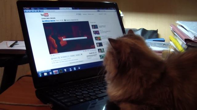 Thank You RWJ смотреть онлайн