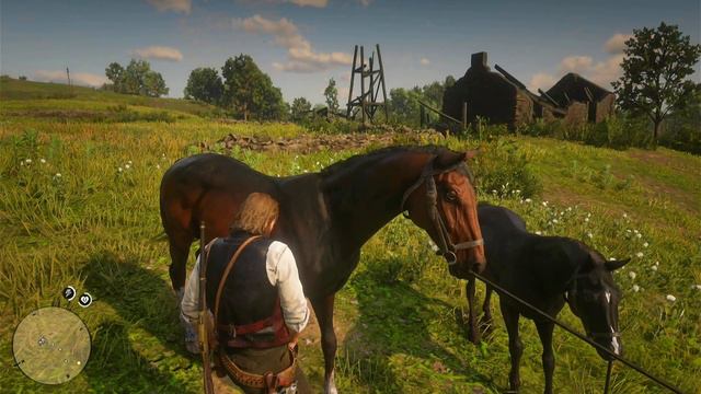 Is this Horse better than the Arabians! | Dark Bay Turkoman | RDR2 | PS4 Slim смотреть онлайн