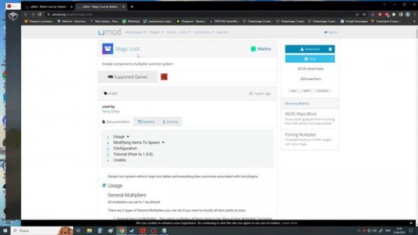 Component plus Rust plugin