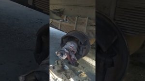 Ниссан дизель cm 87 , задние колодки, рем комплект  , замена накладок(  часть1)