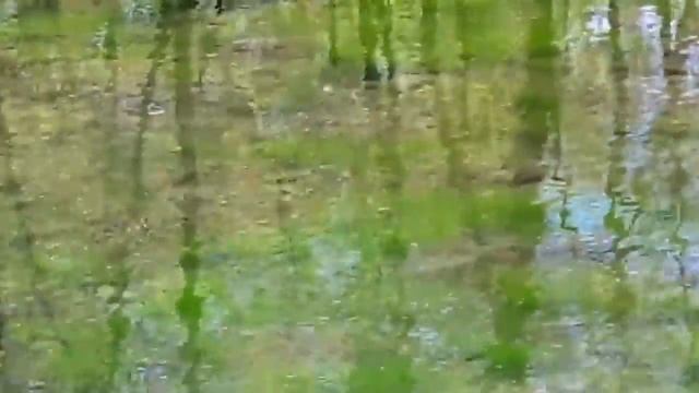 Загадочное место - здесь сбываются ваши желания! Загадайте его и оно сбудется! смотреть онлайн