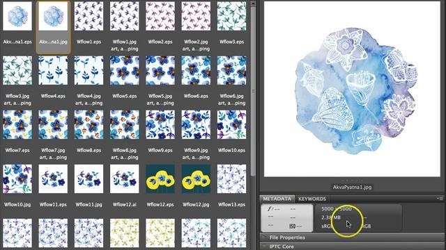 Прописываем ключевые слова в картинки для стоков с помощью Адоб Бридж (Adobe Bridge) смотреть онлайн