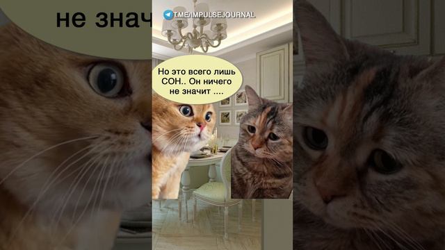 Страшный сон #мем #мыкотики #приколы #юмор #разговор #анекдот #шутки #котики смотреть онлайн