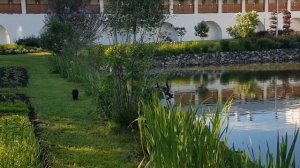 "...Вся премудростию сотворил еси!"