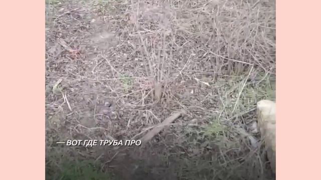 Ростов-на-Дону: родник Святого Павла - вновь угробили. 😬😦 смотреть онлайн