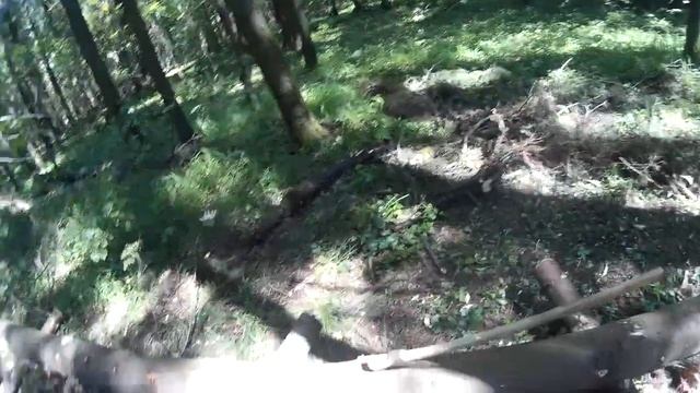 Ответ Максиму Медведеву на его хамство, невежество и глупость. смотреть онлайн