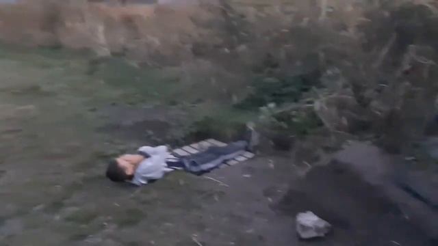 Фрируйд 7| старые кадры описание? смотреть онлайн