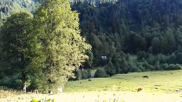 Абхазия, Альпийские луга. смотреть онлайн