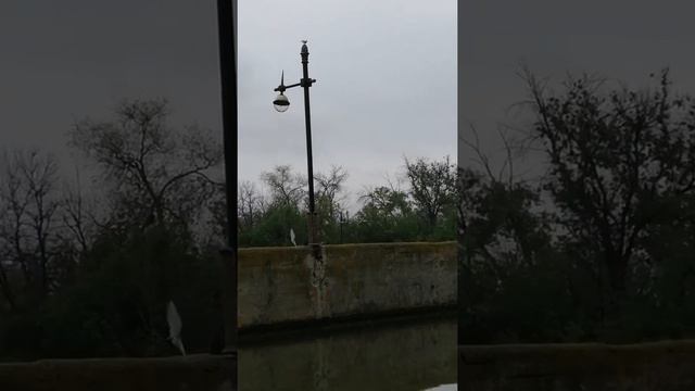 как суда попадают в черное море 2.волго-донской канал имени ленина. волгоград. смотреть онлайн