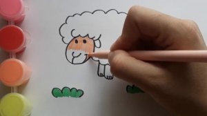 Рисуем овечку. Раскраска Барашек для детей. Легкие рисунки.