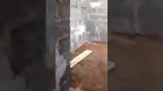 Строим Мечеть смотреть онлайн