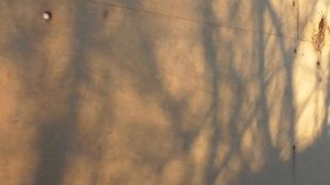 Что стало с плитами Белтермо после десяти месяцев без отделки дома?